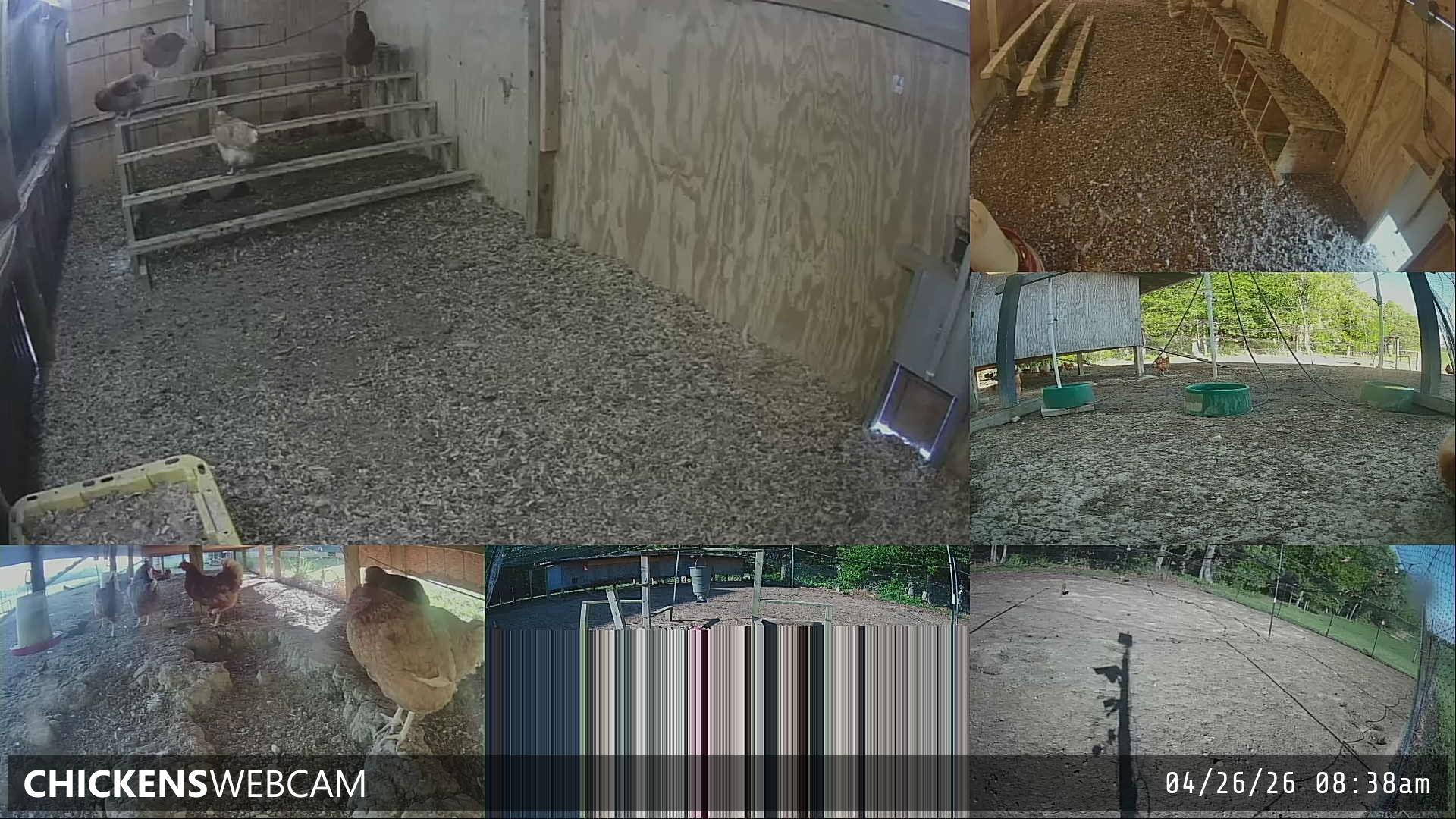 Twitch Stream Preview