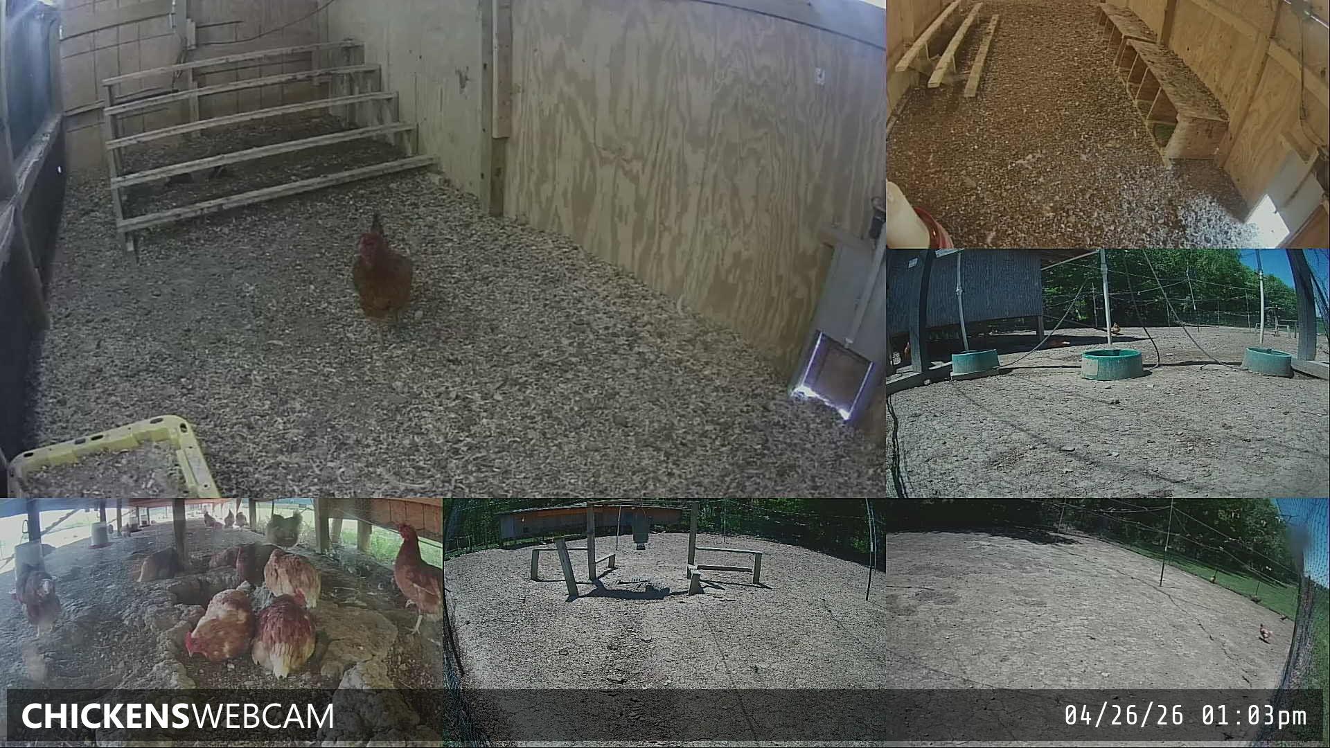 Twitch Stream Preview