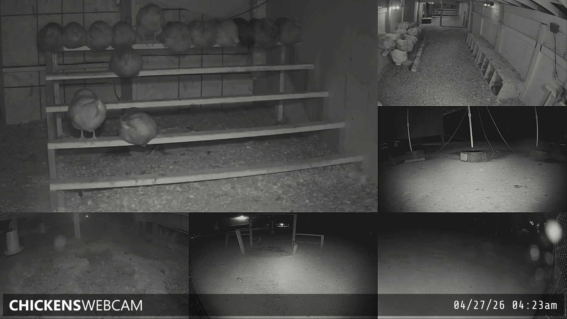 Twitch Stream Preview