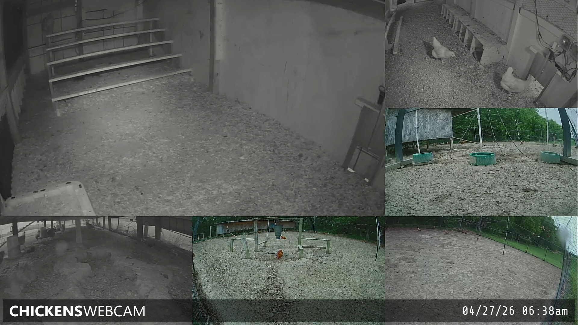 Twitch Stream Preview