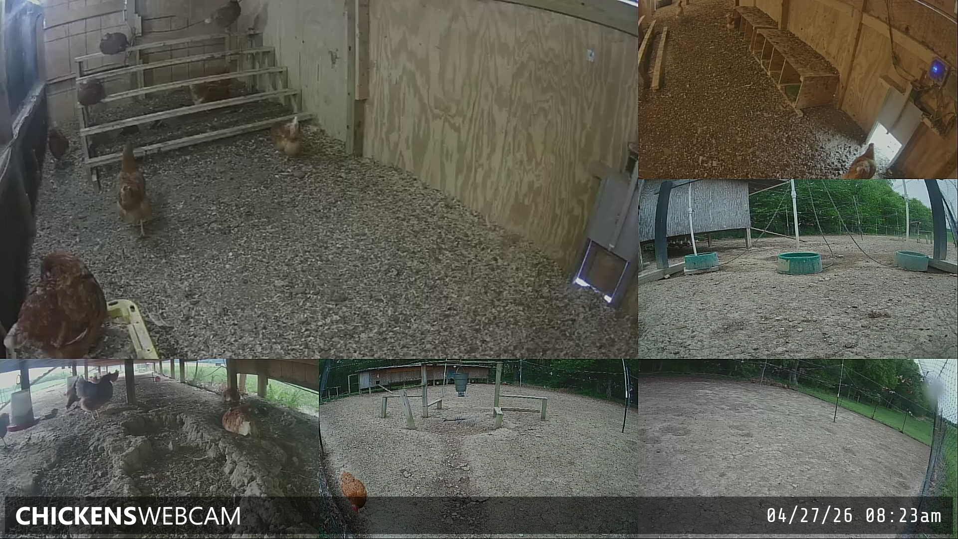 Twitch Stream Preview