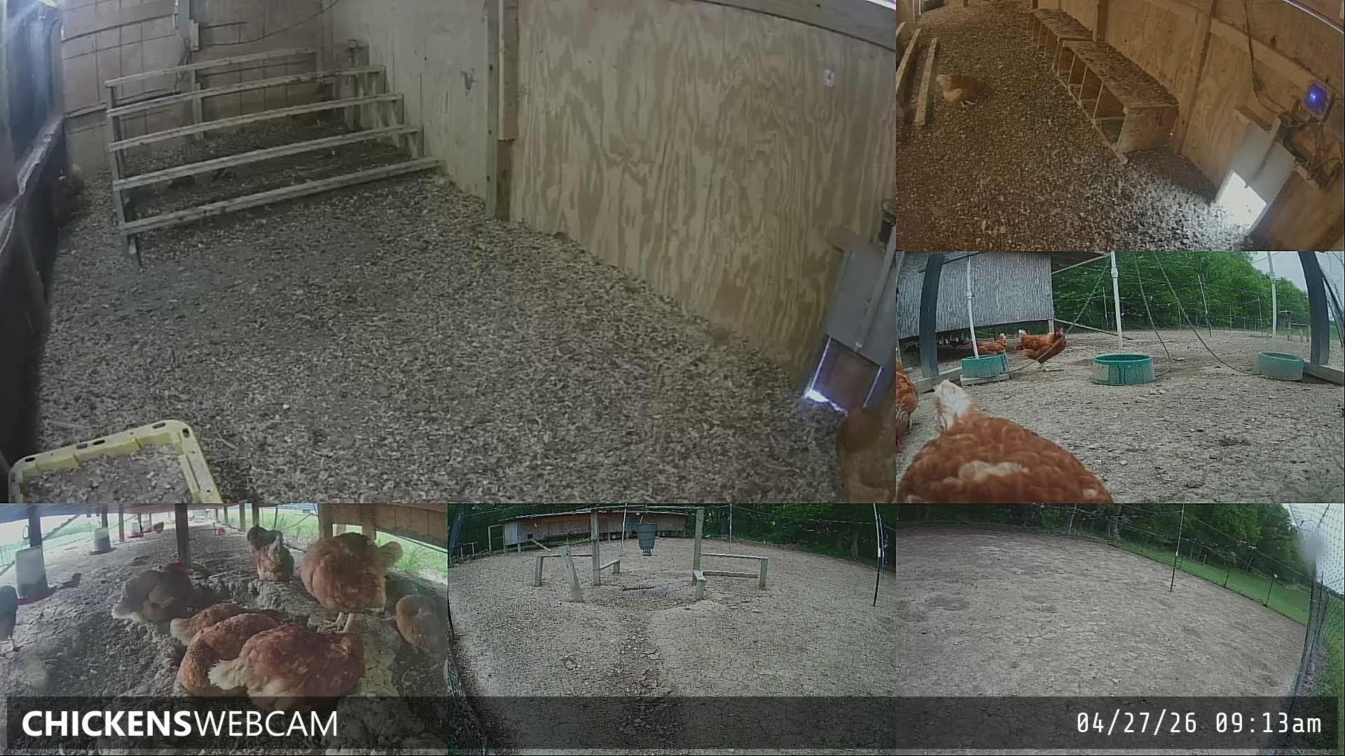 Twitch Stream Preview