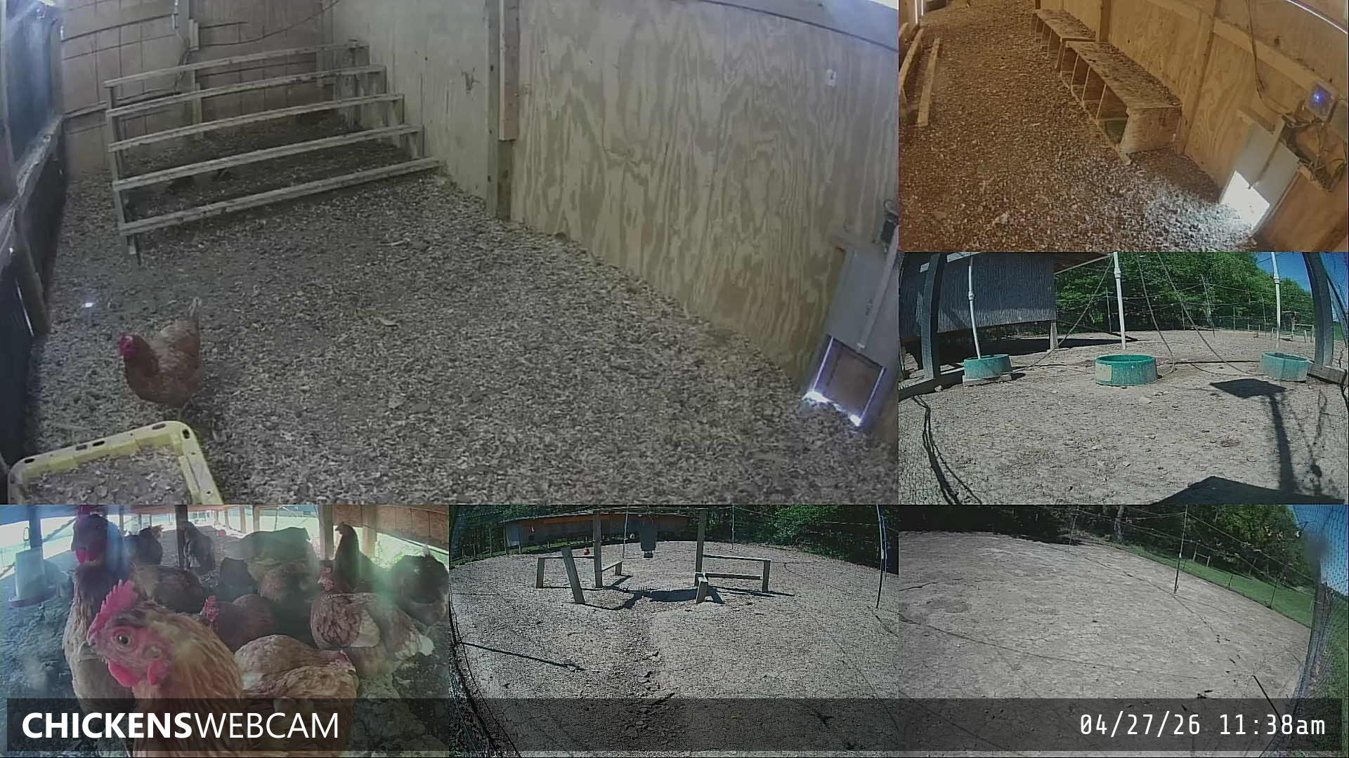 Twitch Stream Preview