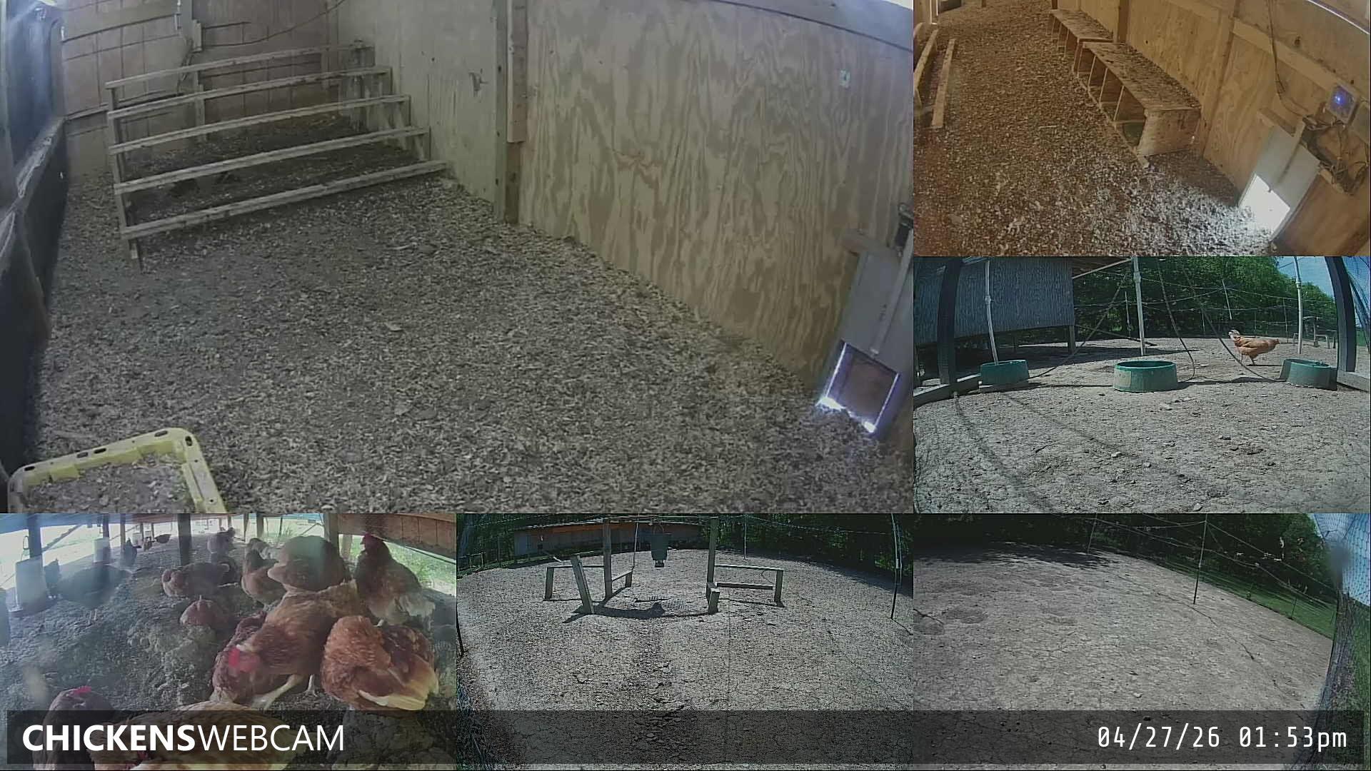 Twitch Stream Preview