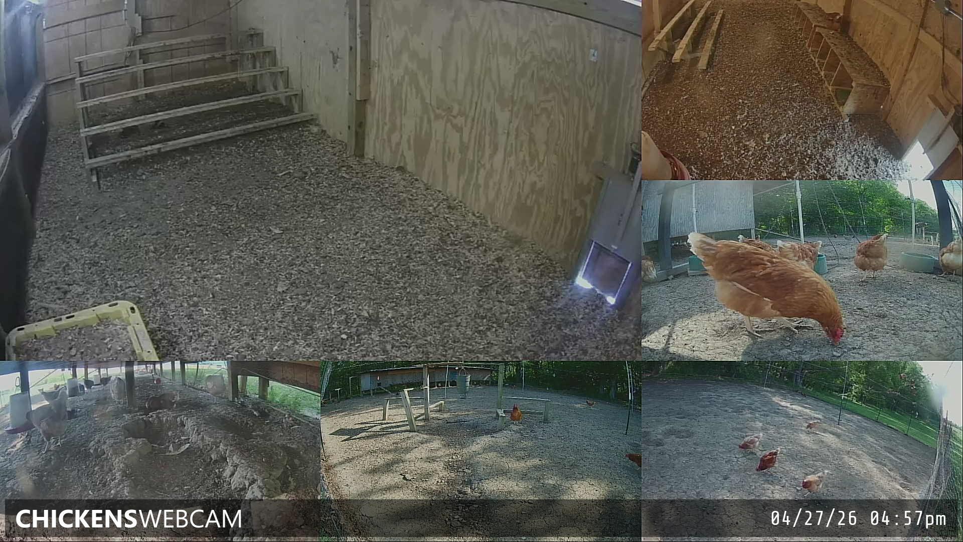 Twitch Stream Preview