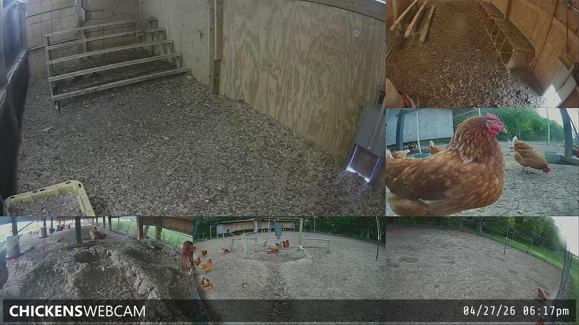 Twitch Stream Preview