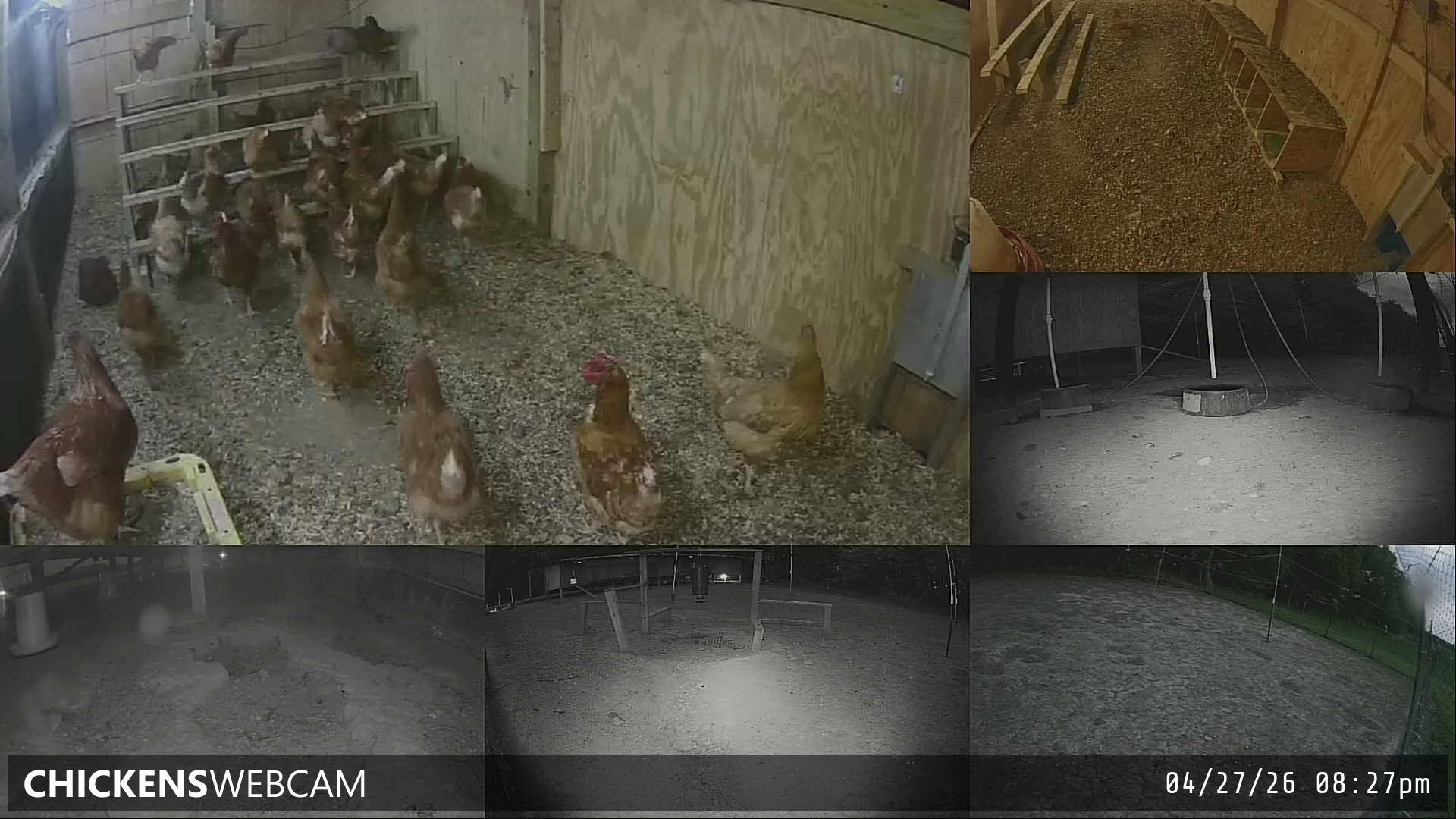 Twitch Stream Preview