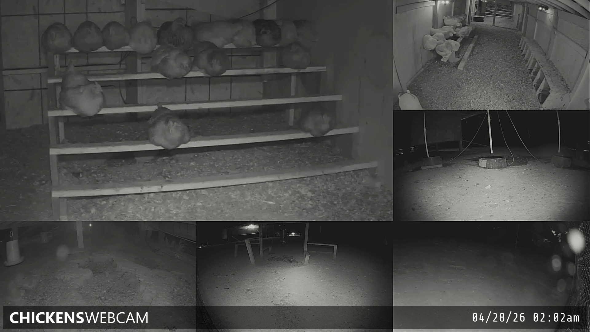 Twitch Stream Preview