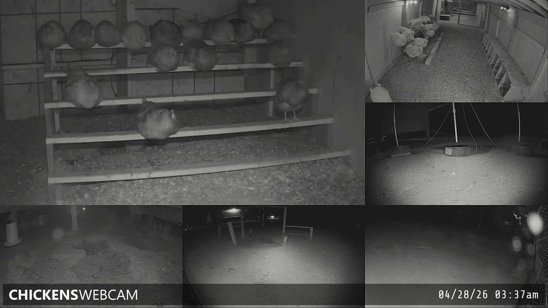 Twitch Stream Preview