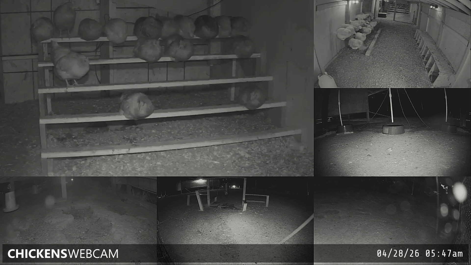 Twitch Stream Preview