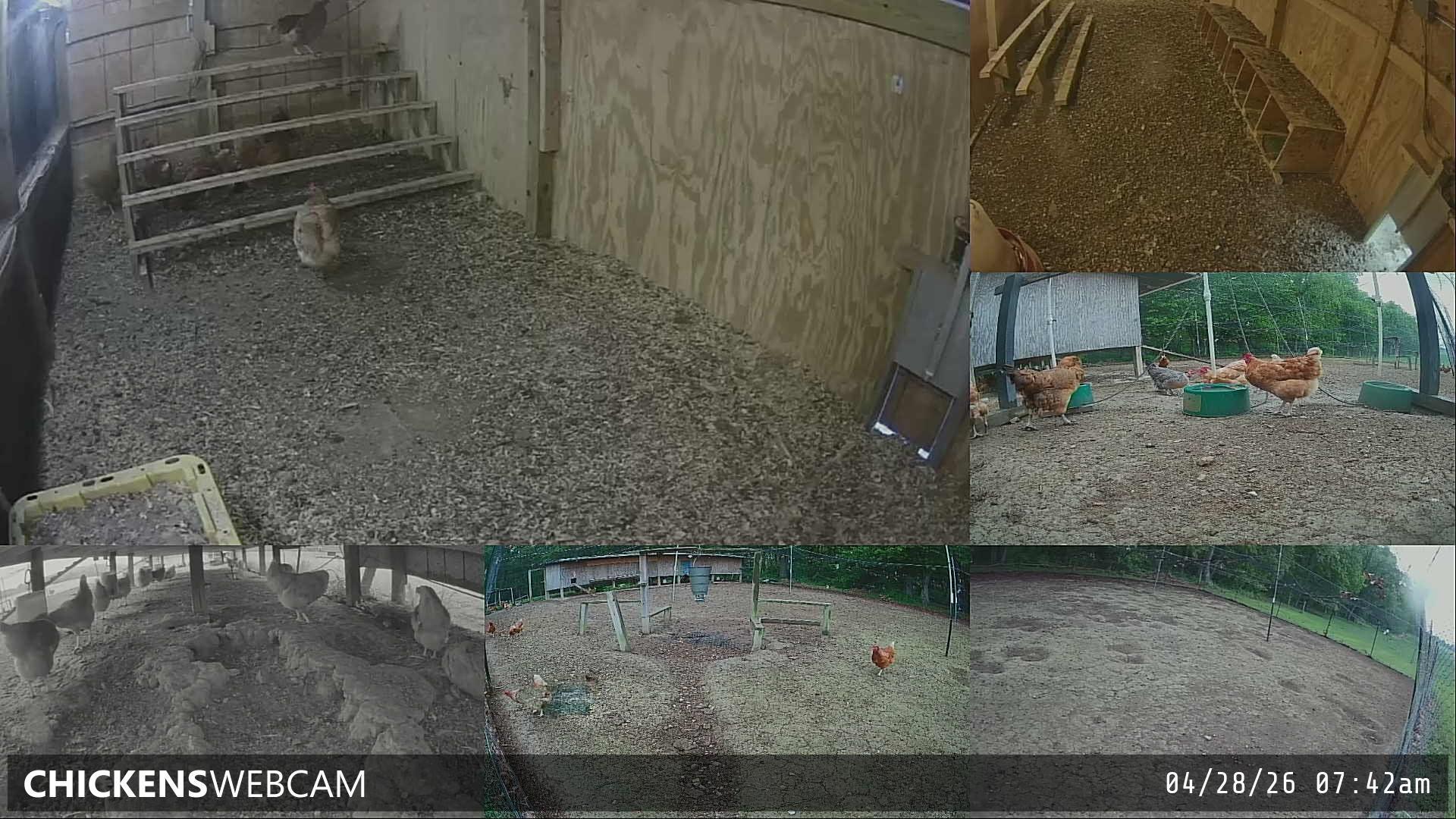 Twitch Stream Preview