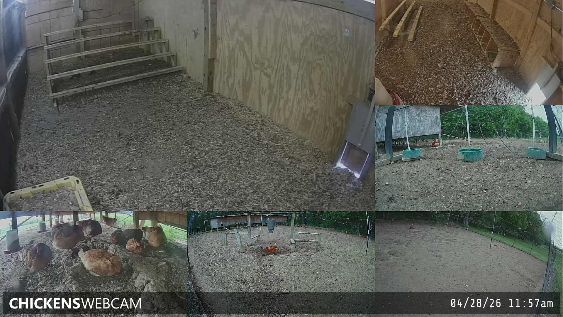 Twitch Stream Preview