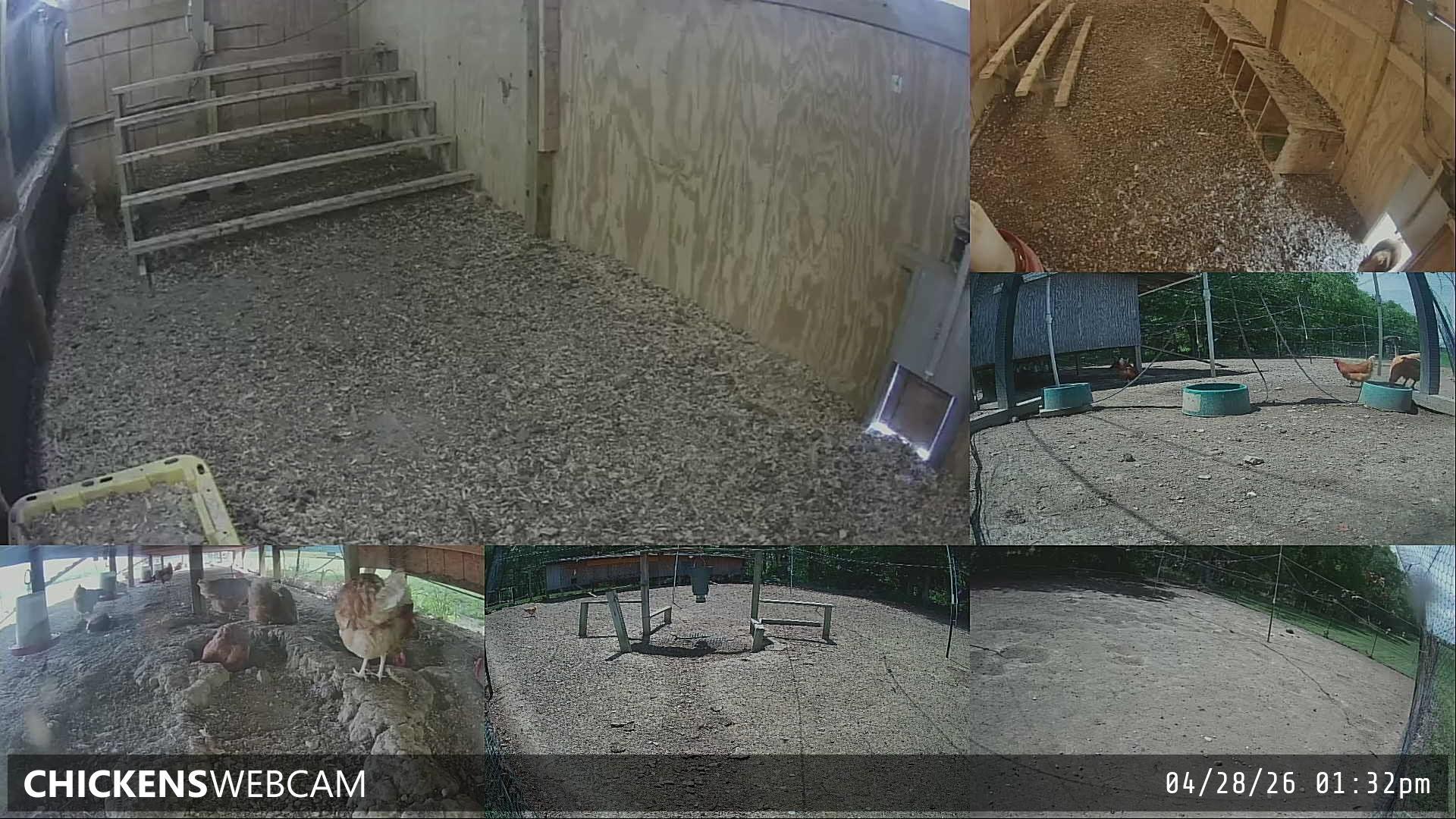 Twitch Stream Preview