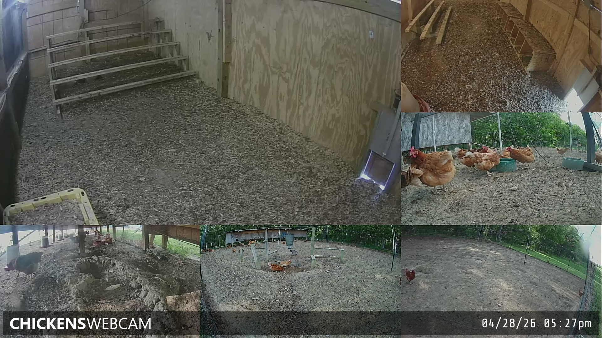 Twitch Stream Preview