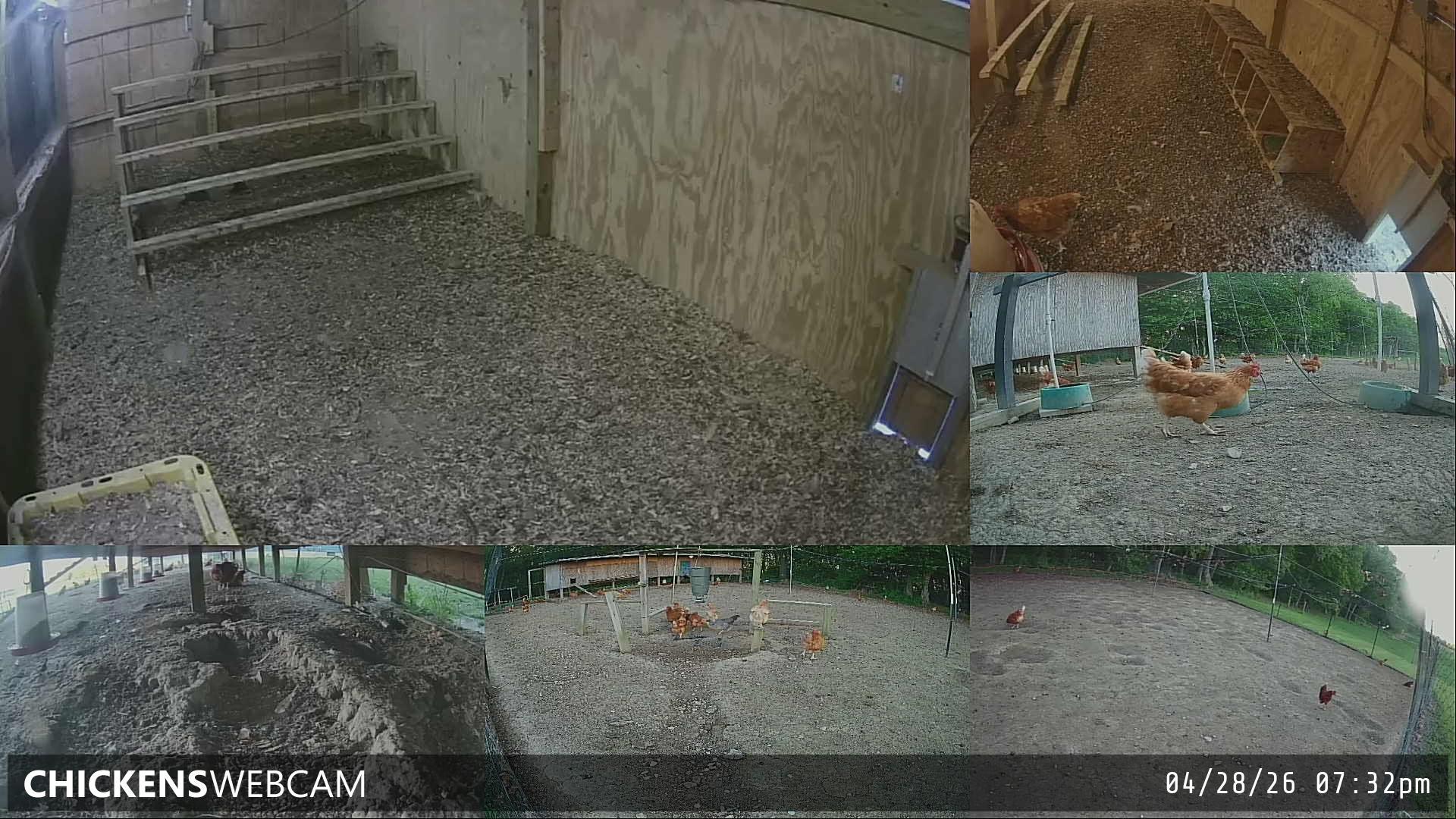 Twitch Stream Preview