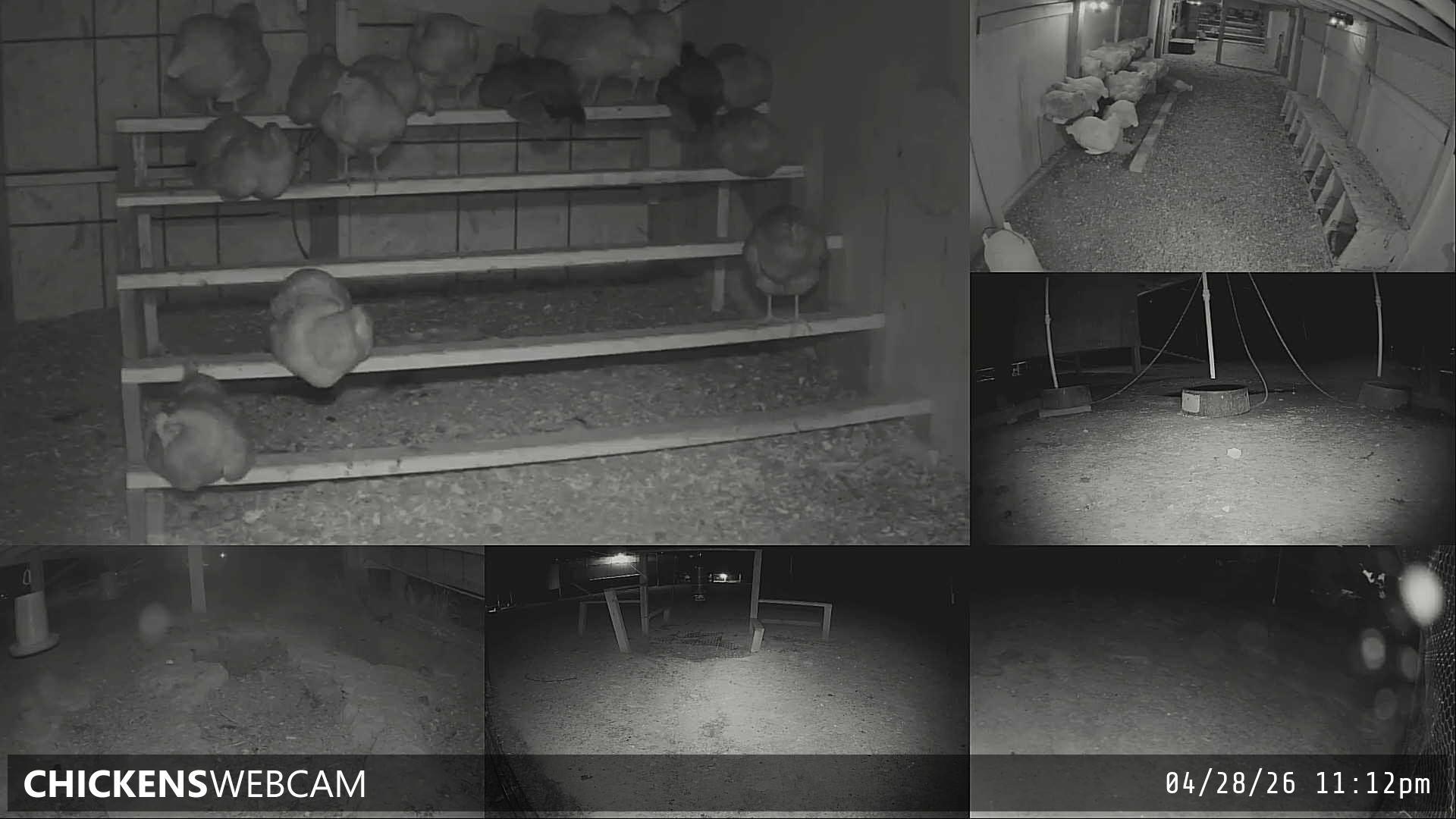 Twitch Stream Preview