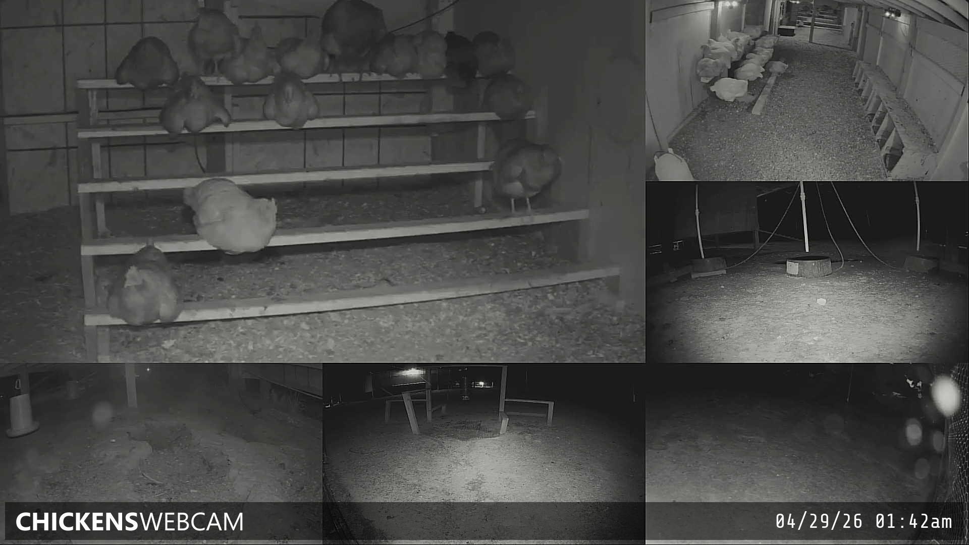 Twitch Stream Preview