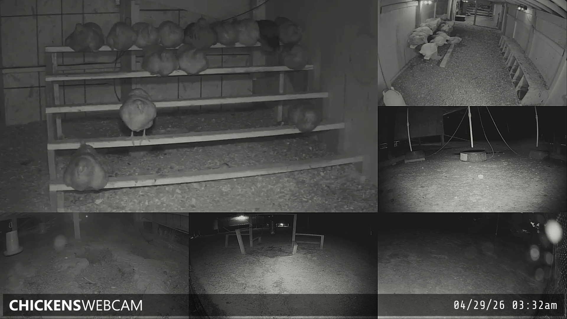 Twitch Stream Preview