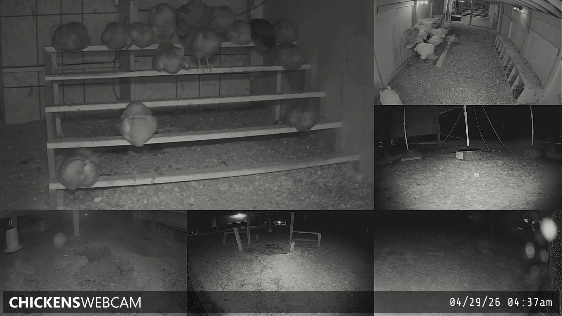 Twitch Stream Preview