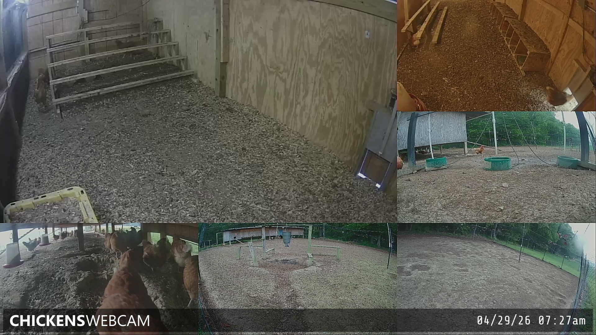 Twitch Stream Preview