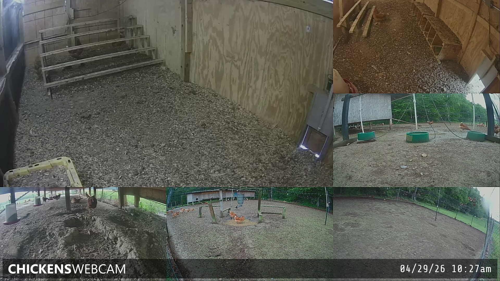 Twitch Stream Preview