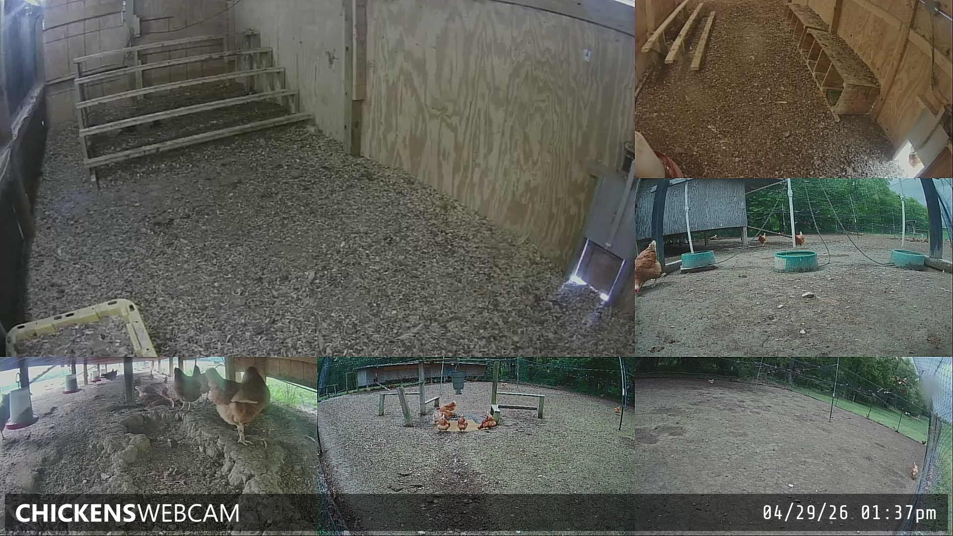 Twitch Stream Preview