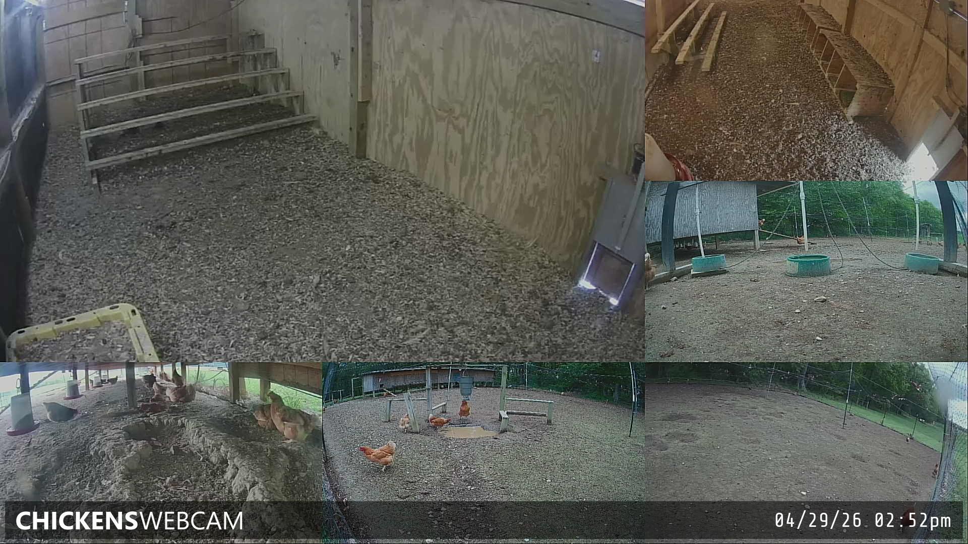 Twitch Stream Preview