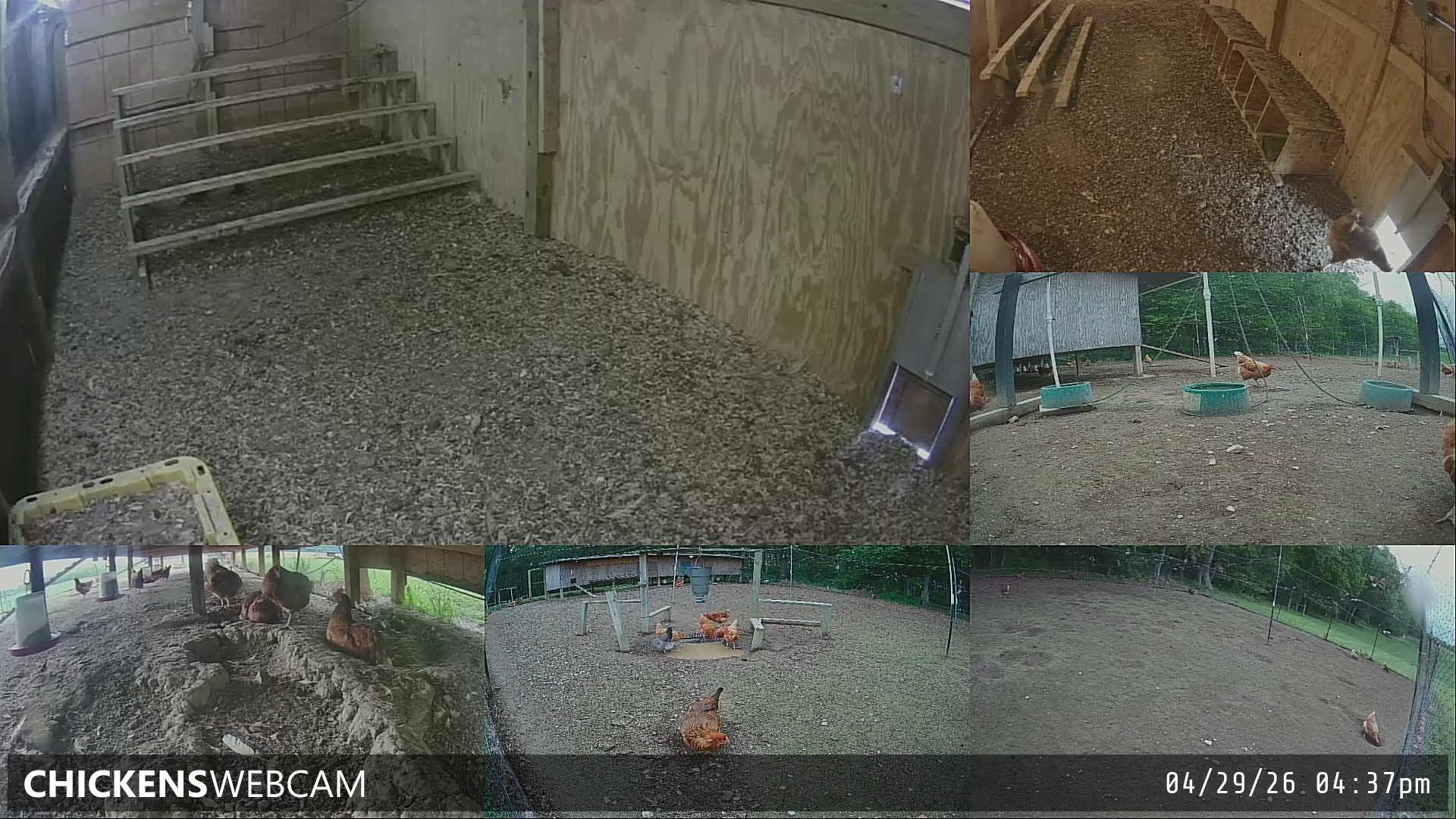 Twitch Stream Preview