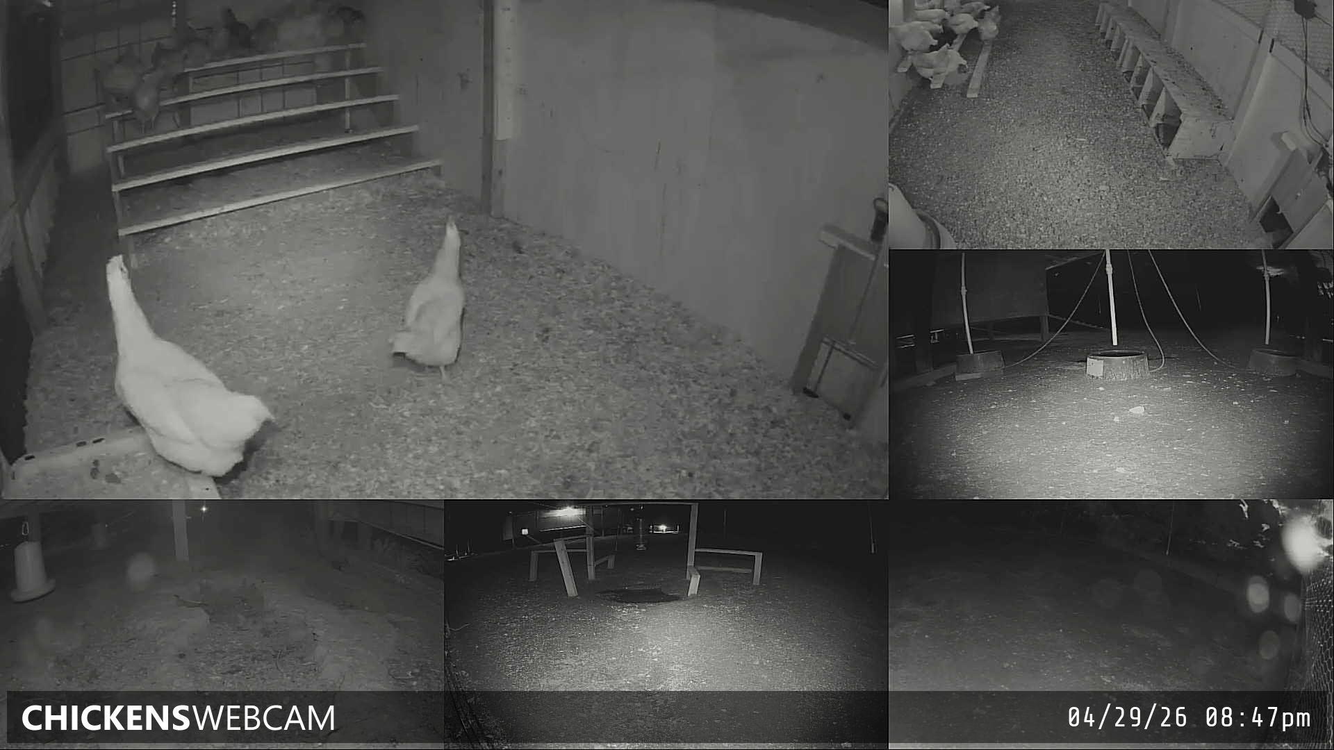 Twitch Stream Preview