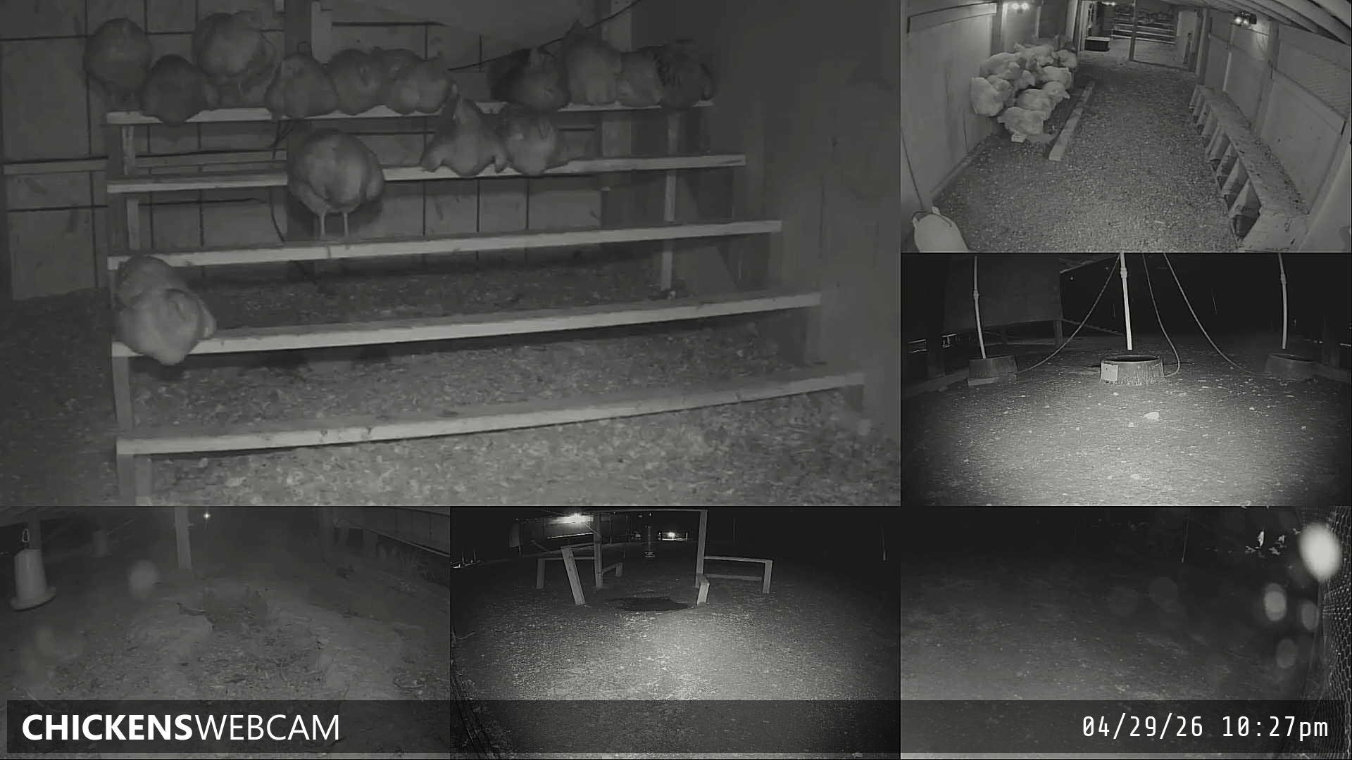 Twitch Stream Preview