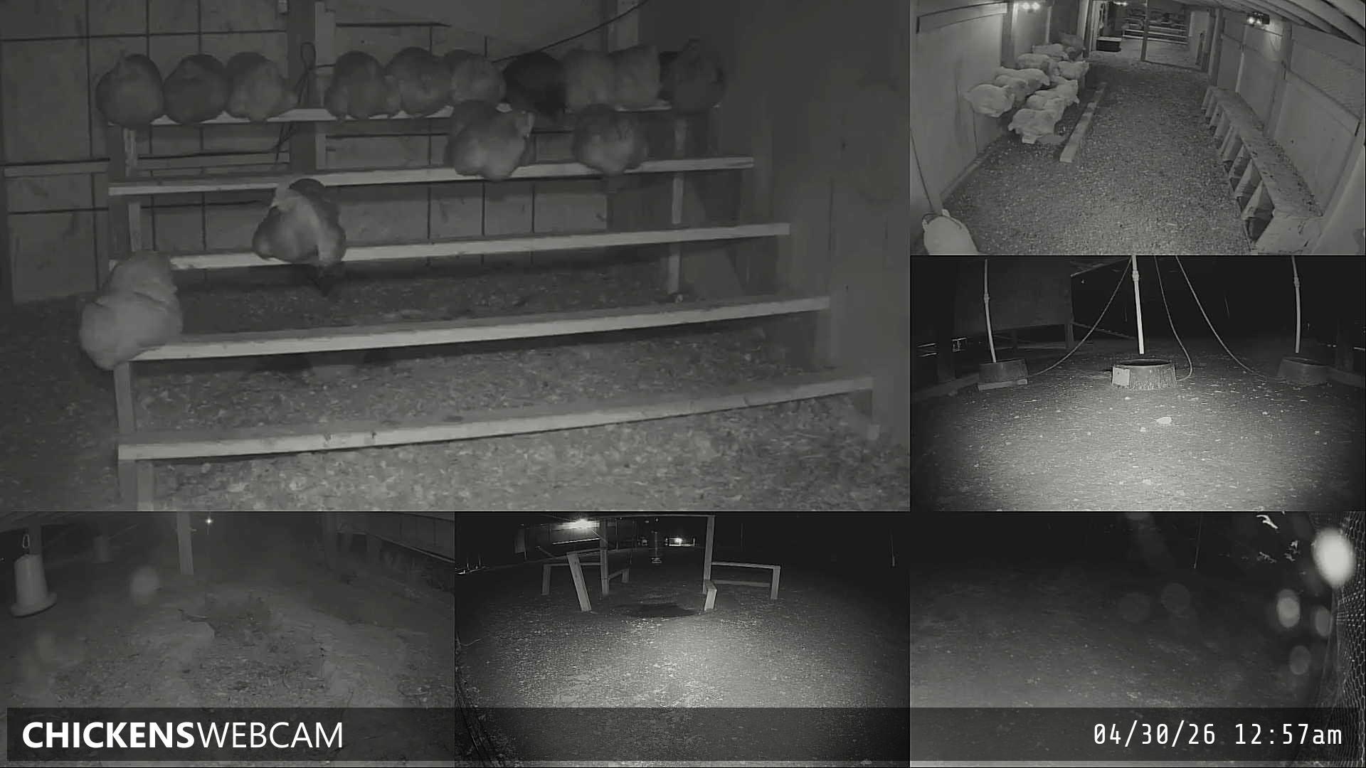 Twitch Stream Preview