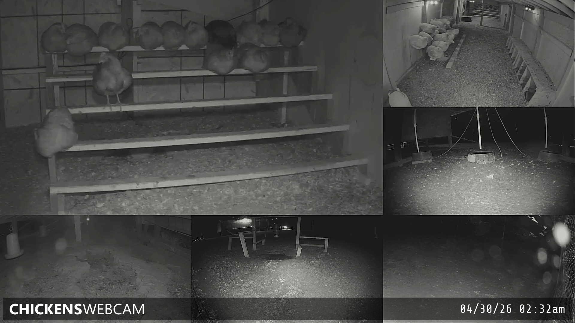 Twitch Stream Preview