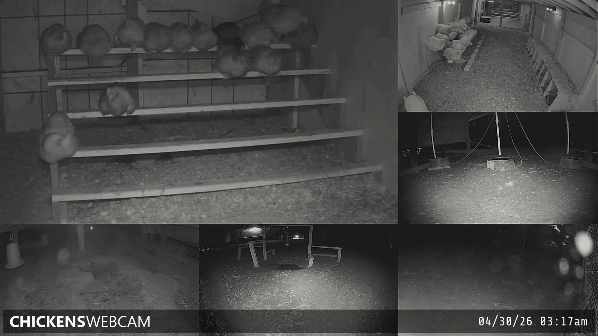 Twitch Stream Preview