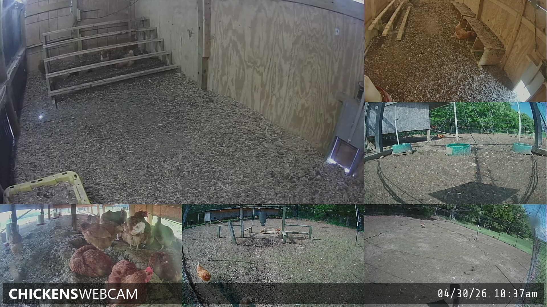 Twitch Stream Preview