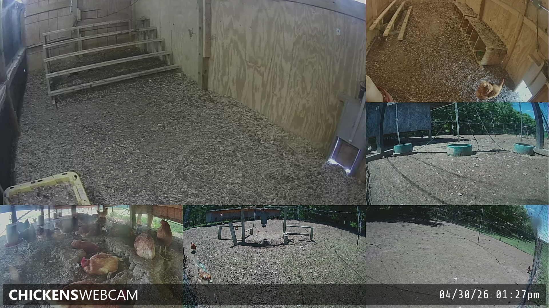 Twitch Stream Preview