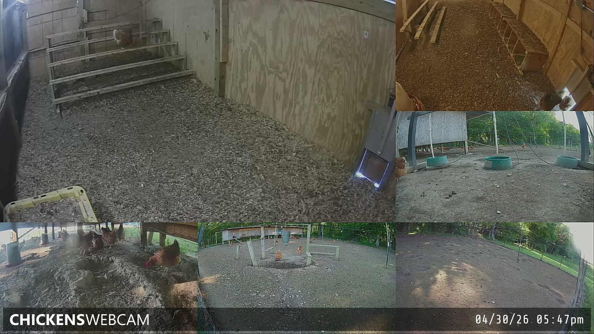 Twitch Stream Preview