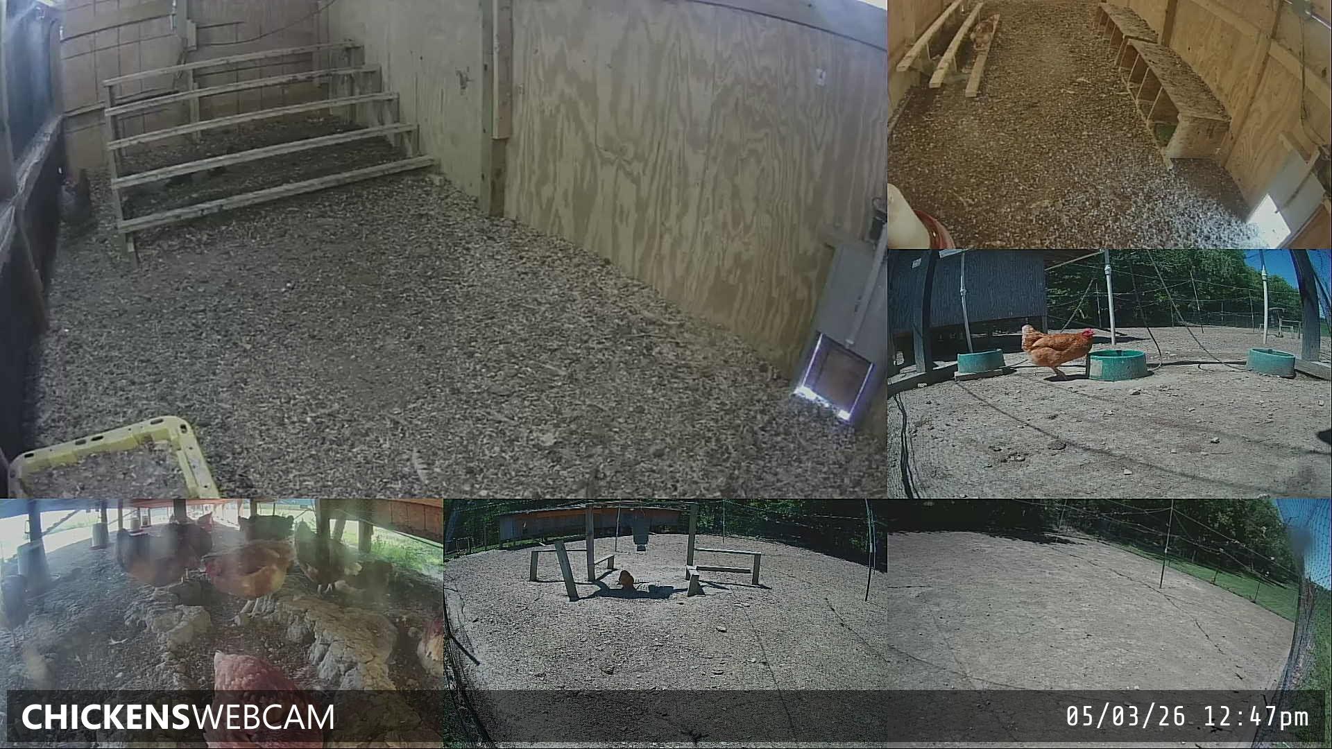 Twitch Stream Preview