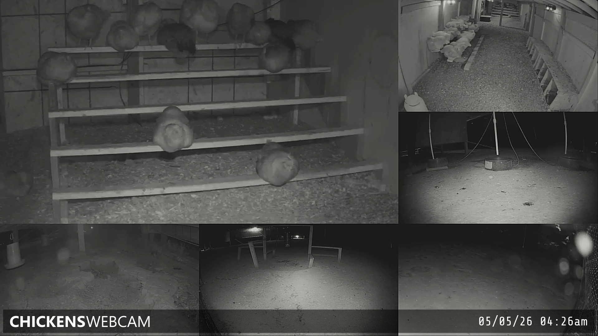 Twitch Stream Preview