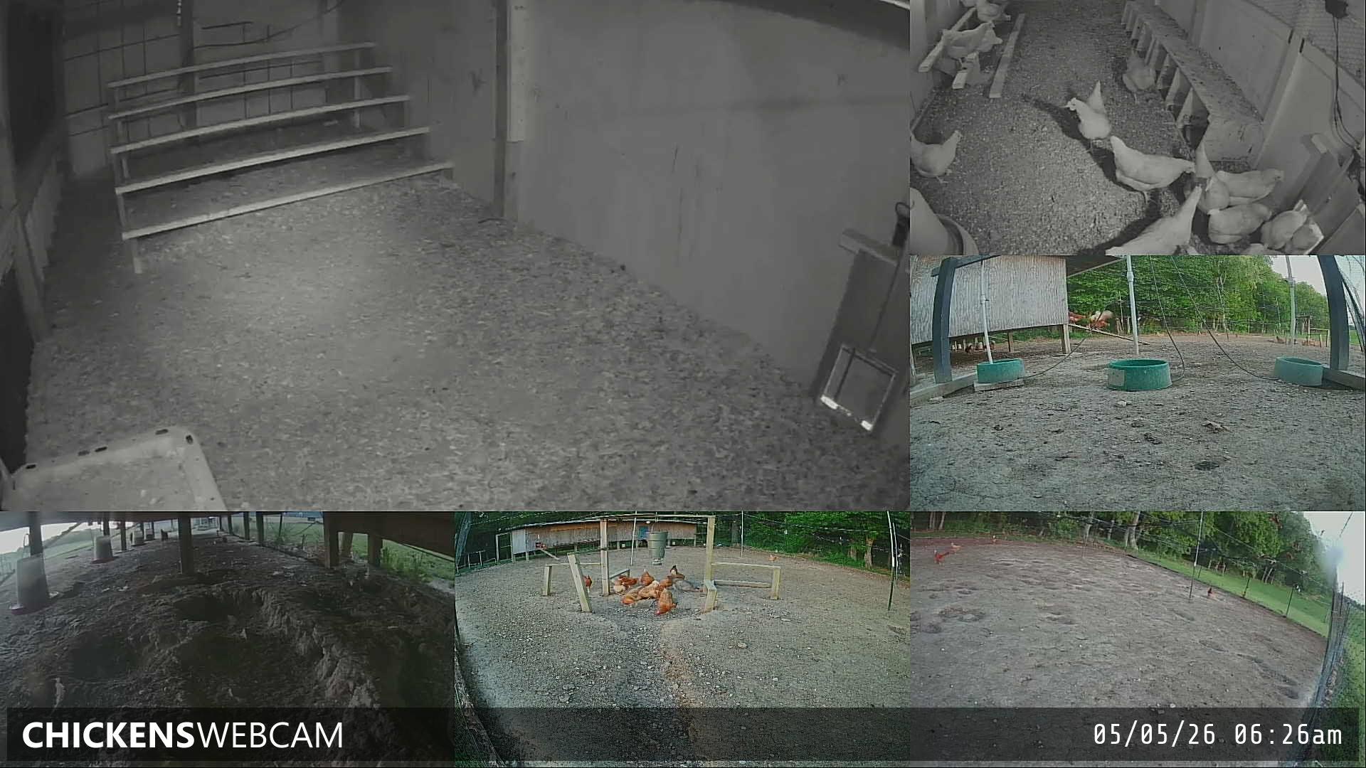 Twitch Stream Preview