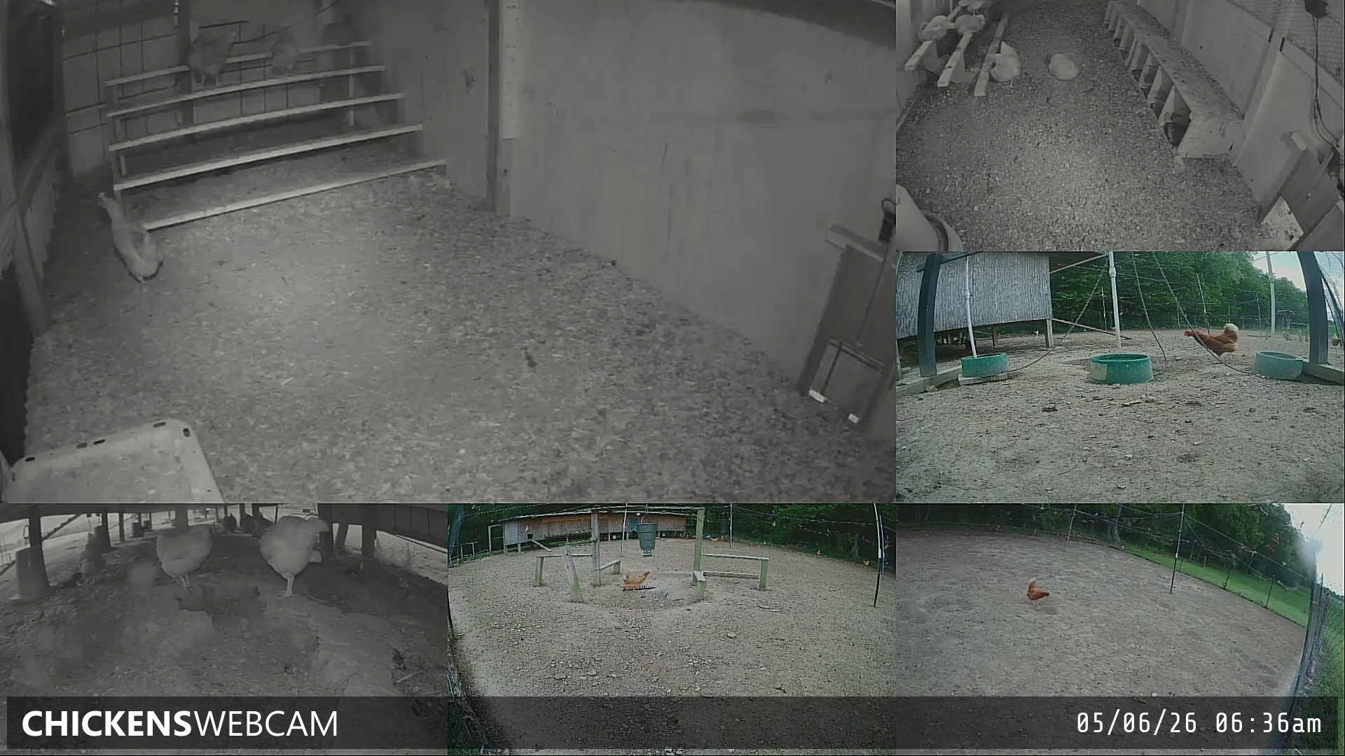 Twitch Stream Preview
