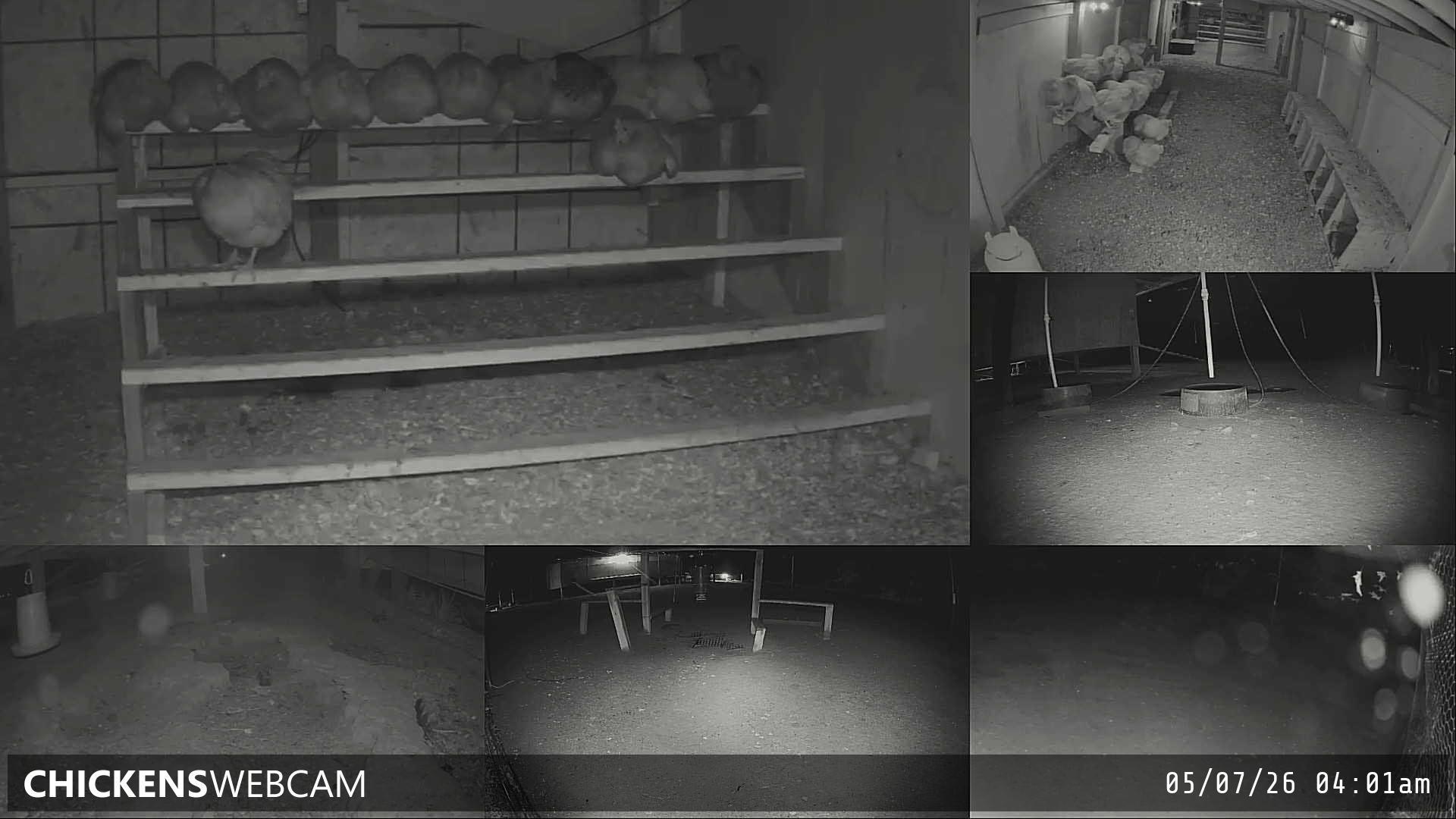Twitch Stream Preview