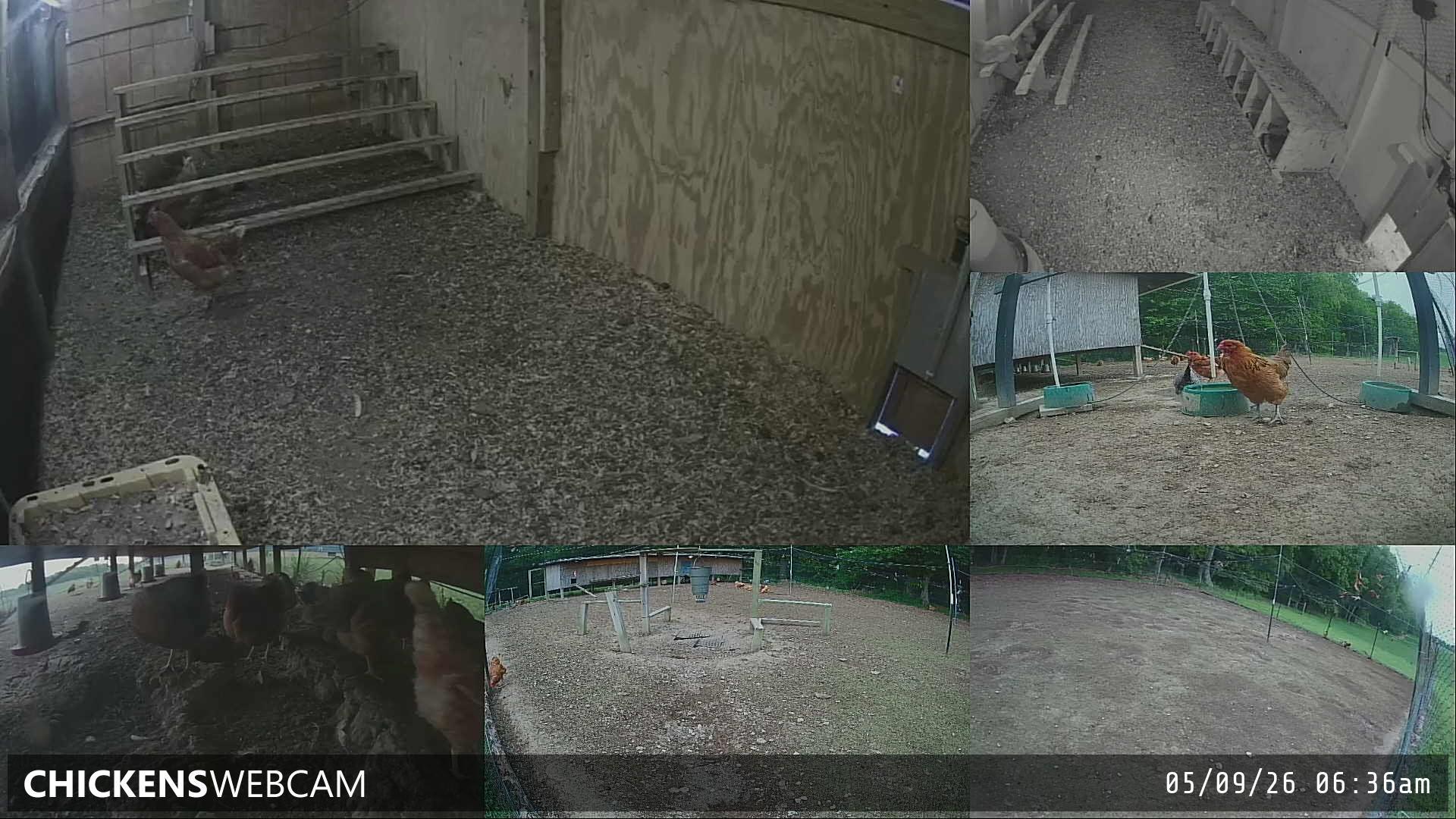Twitch Stream Preview