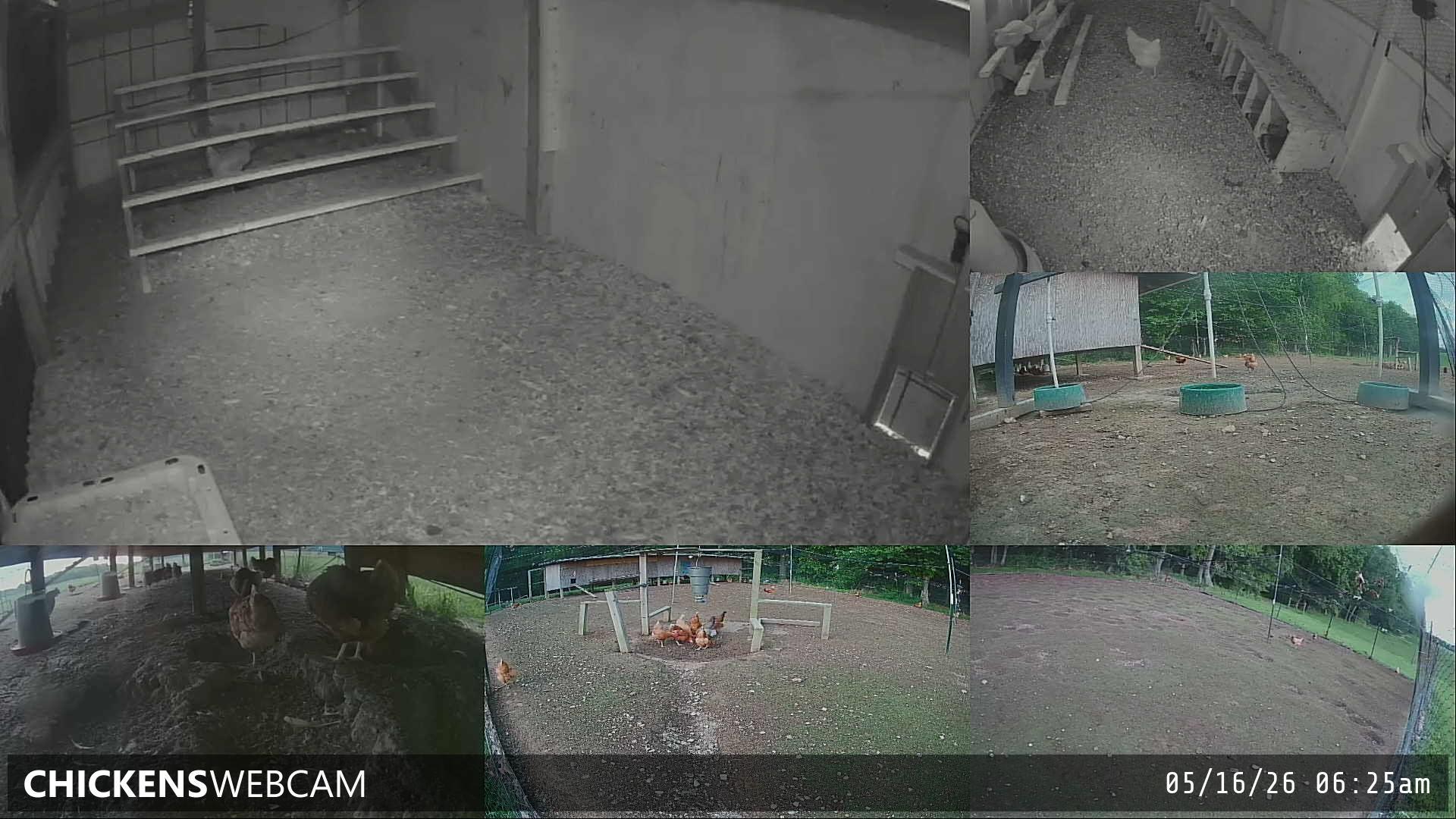 Twitch Stream Preview