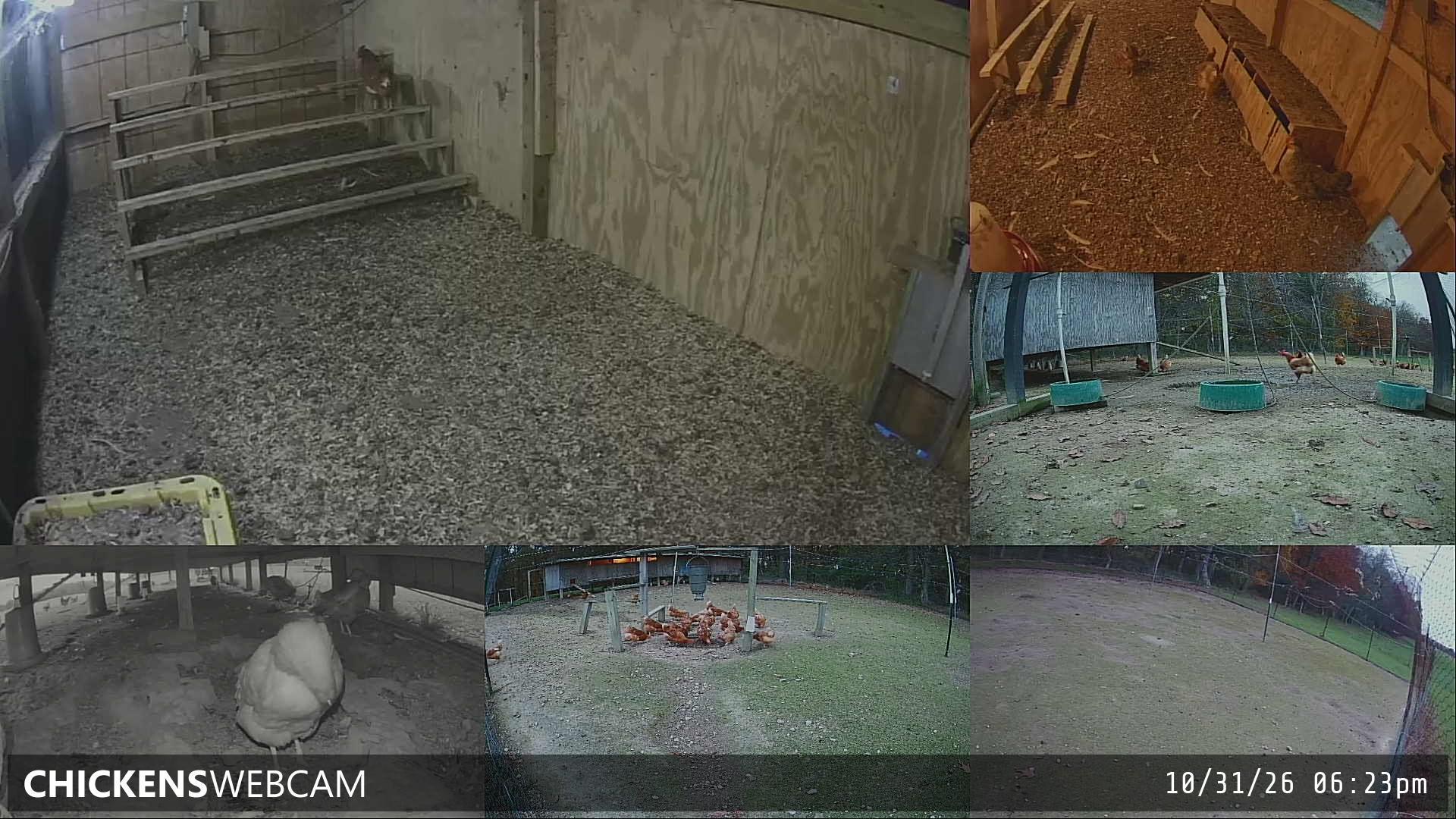Twitch Stream Preview